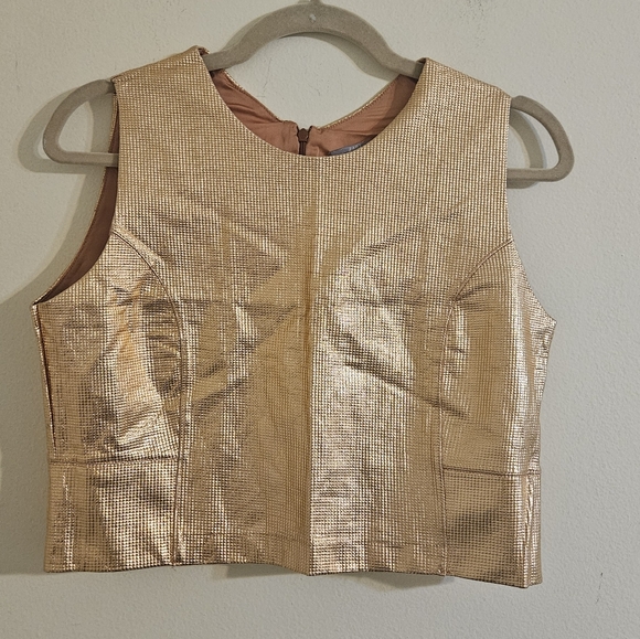Zara Metallic Crop Top - Picture 1 of 4